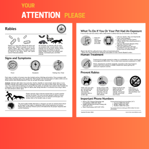 Maine's Health and Environmental Testing Laboratory confirmed that a bat from the Town of Mercer tested positive for rabies.